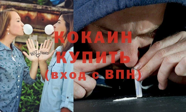 прущие крисы Белокуриха