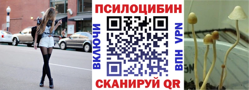 дарнет шоп  Высоковск  Галлюциногенные грибы ЛСД 